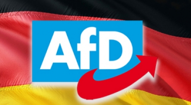 Almanya'da aşırı sağcı AfD oyunu nasıl artırdı?